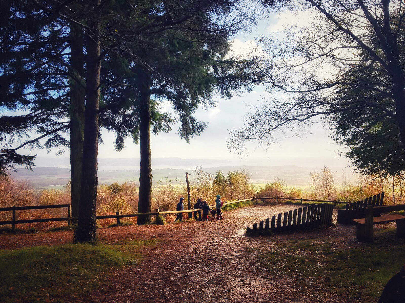 Exploring One Of Exeter S Best Kept Secrets Mamhead Sensory Trail Exploring Exeter And Discovering Devon