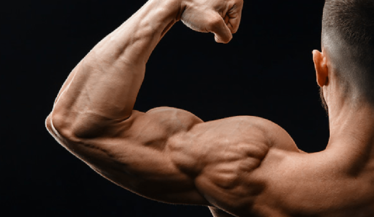 Exercises That Build Biceps And Triceps Effectively