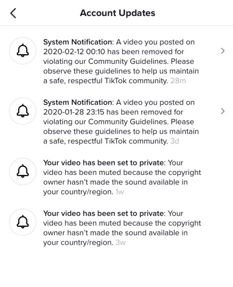 What Is The Tiktok Shadowban And How To Fix It Followchain