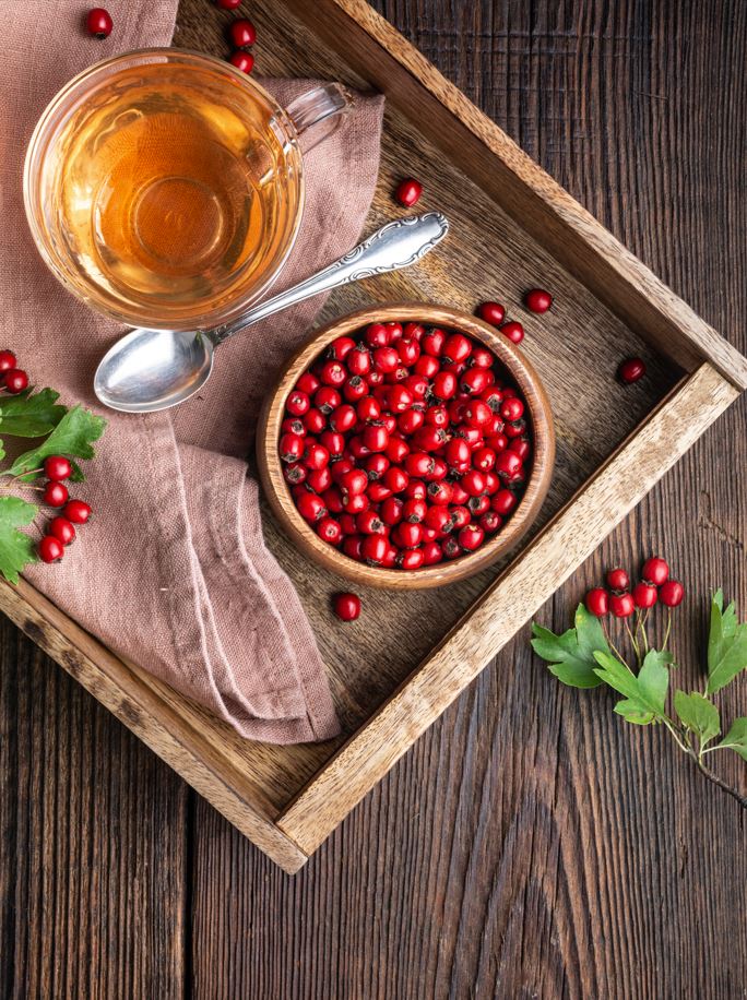 Hawthorn or anyone interested in learning about and protecting heart health, there is one herbal supplement that also offers unique heart-fortifying and nourishing components, the venerable hawthorn.