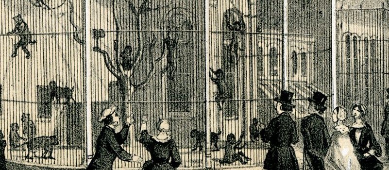 Dierentuin Historisch Kader