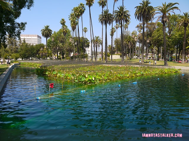 Echo Park (15 of 56)