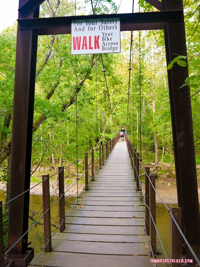 Patapsco Valley State Park from Serial-1170442