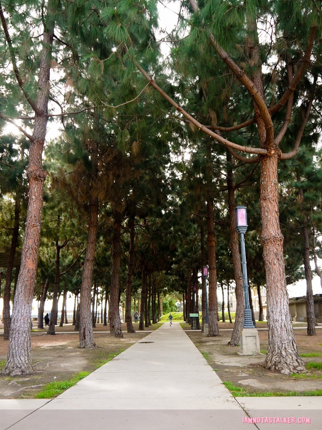 Barnsdall Art Park from Big Little Lies-1200810