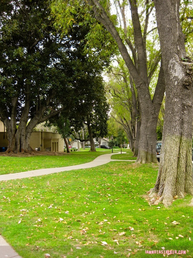 South Pasadena Public Library from Say Anything-6011