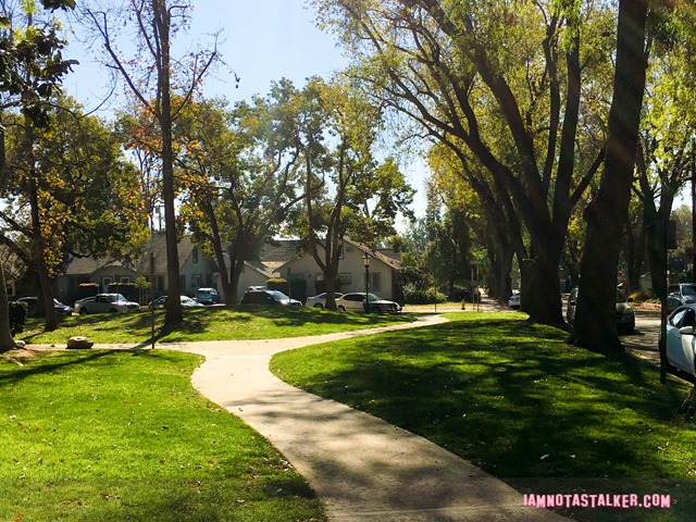 South Pasadena Public Library from Say Anything-6105