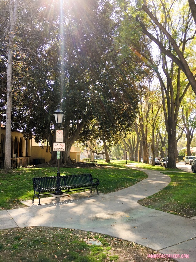 South Pasadena Public Library from Say Anything-6120