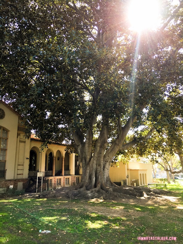 South Pasadena Public Library from Say Anything-6144