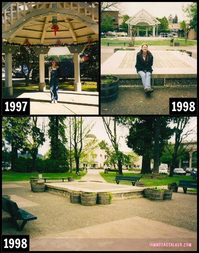 Healdsburg Collage 2