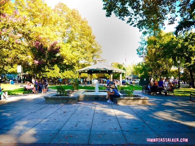 Healdsburg Town Plaza from Scream (13 of 20)