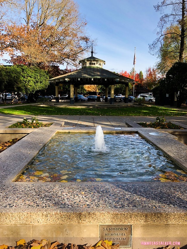 Healdsburg Town Plaza from Scream (2 of 12)