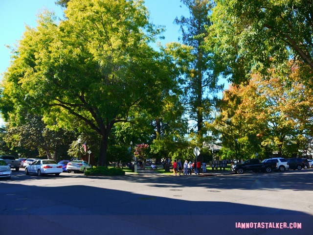 Healdsburg Town Plaza from Scream (2 of 20)