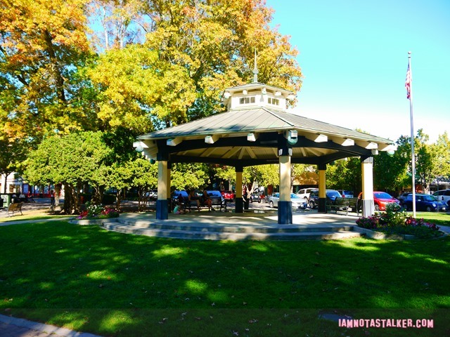 Healdsburg Town Plaza from Scream (6 of 20)