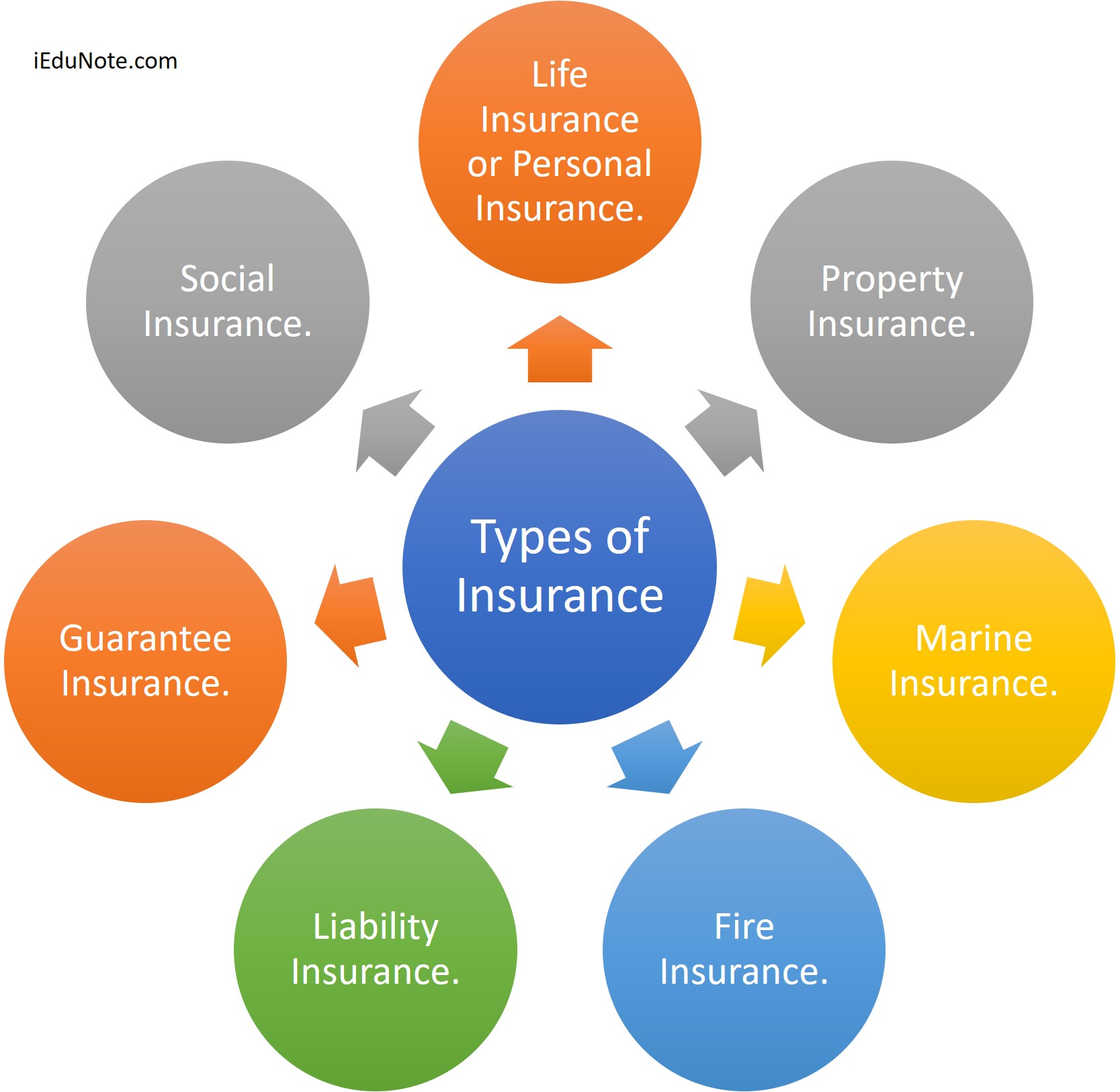 What Are The 7 Types of Insurance? The Most Common Types of Life Insurance
