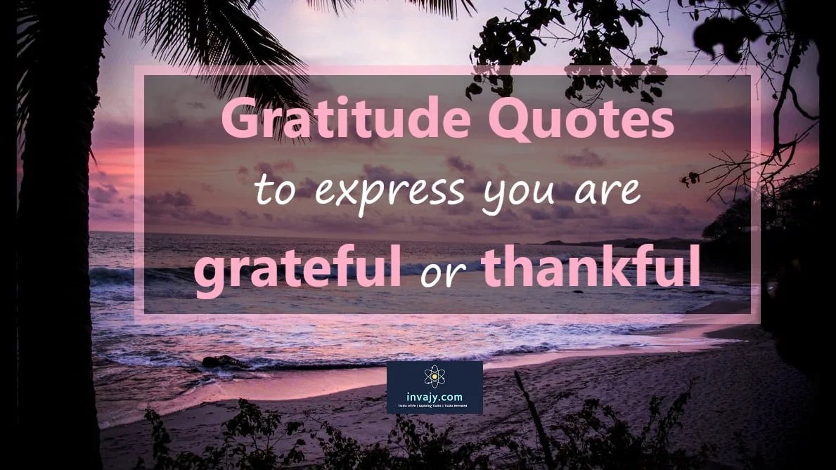 110 Gratitude Quotes To Express You Are Grateful Or Thankful