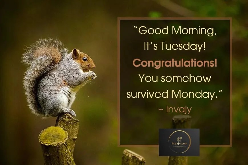 136 Tuesday Quotes To Stay Motivated During The Weekdays