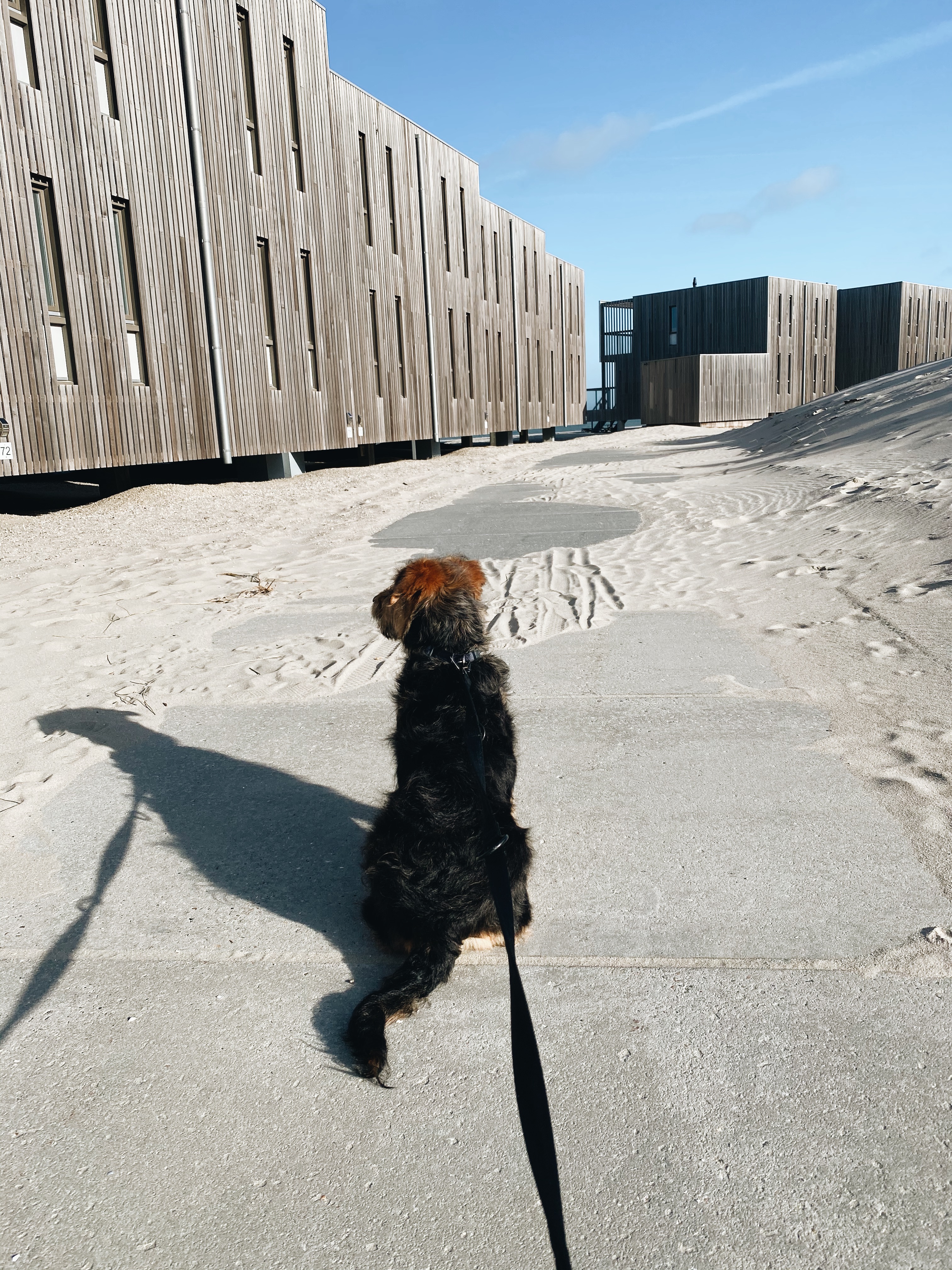 Dutch Beach Weekend Hook Of Holland Guide Kelseyybarnes