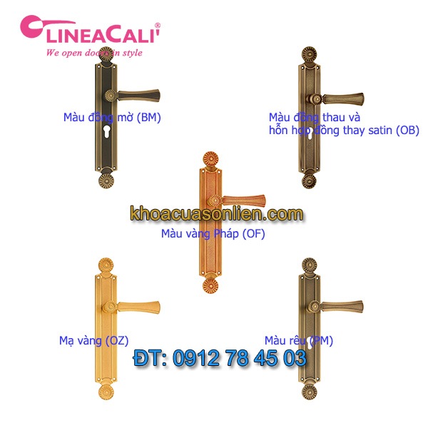 Báo giá Khóa cửa đại sảnh tay gạt nhập khẩu Daisy 1070-E2 của LineaCali Italy tịa Hà Nội