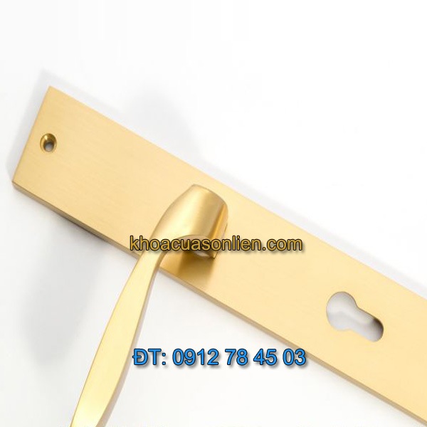 Báo giá khoá cửa chính tay gạt đồng TD BDH-125125-2