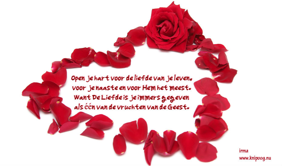 Foto Gedichten Gedichten Leve De Liefde Knipoog Nu