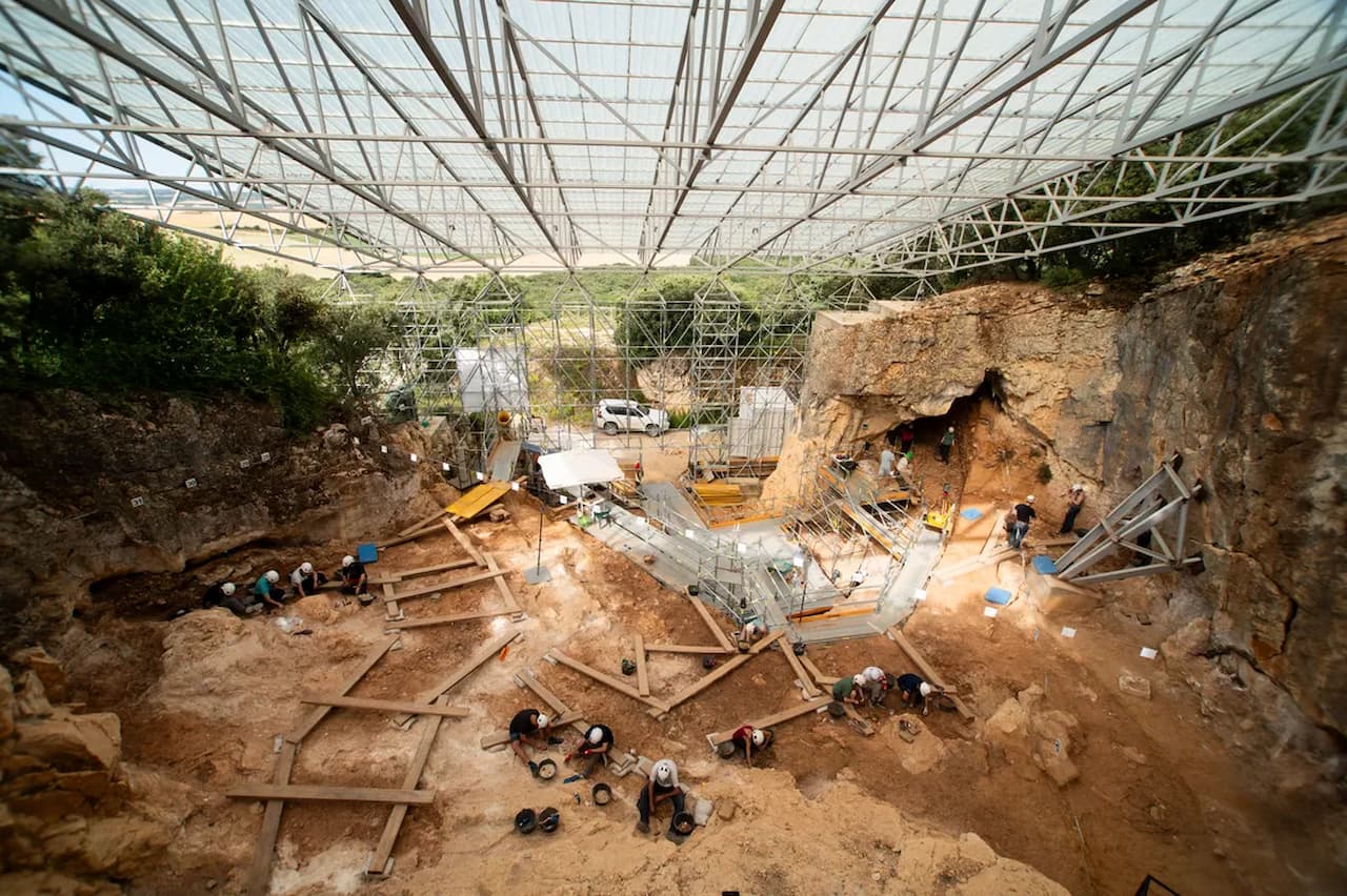Nuevos descubrimientos de Homo antecessor de 850.000 años de antigüedad en Atapuerca