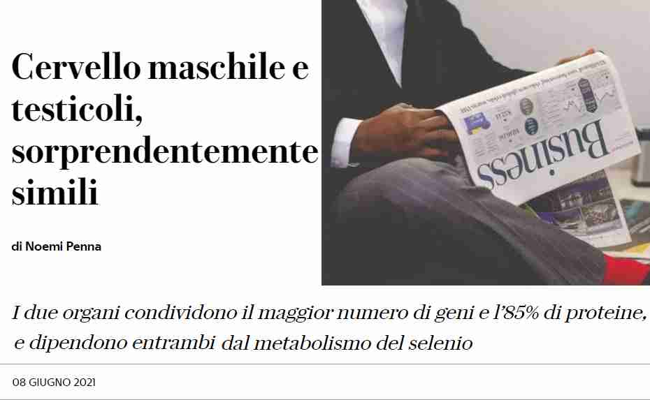 Cervello E Testicoli E Non Avremmo Un Problema Di Misandria La Fionda