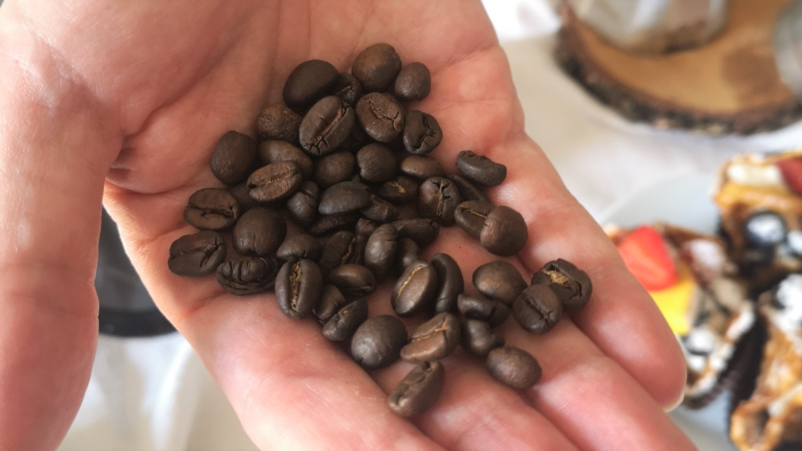 Cocuma Caffe Una Torrefazione Green