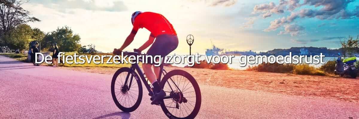 Fietsverzekering Fietsverzekering, Maes Group
