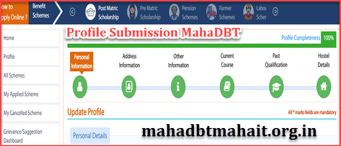 How Do I Change My Profile On MahaDBT ! Maharashtra Scholarship 2022. 1 Mahadbt profile submission details