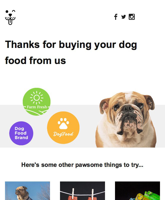 dog food email template