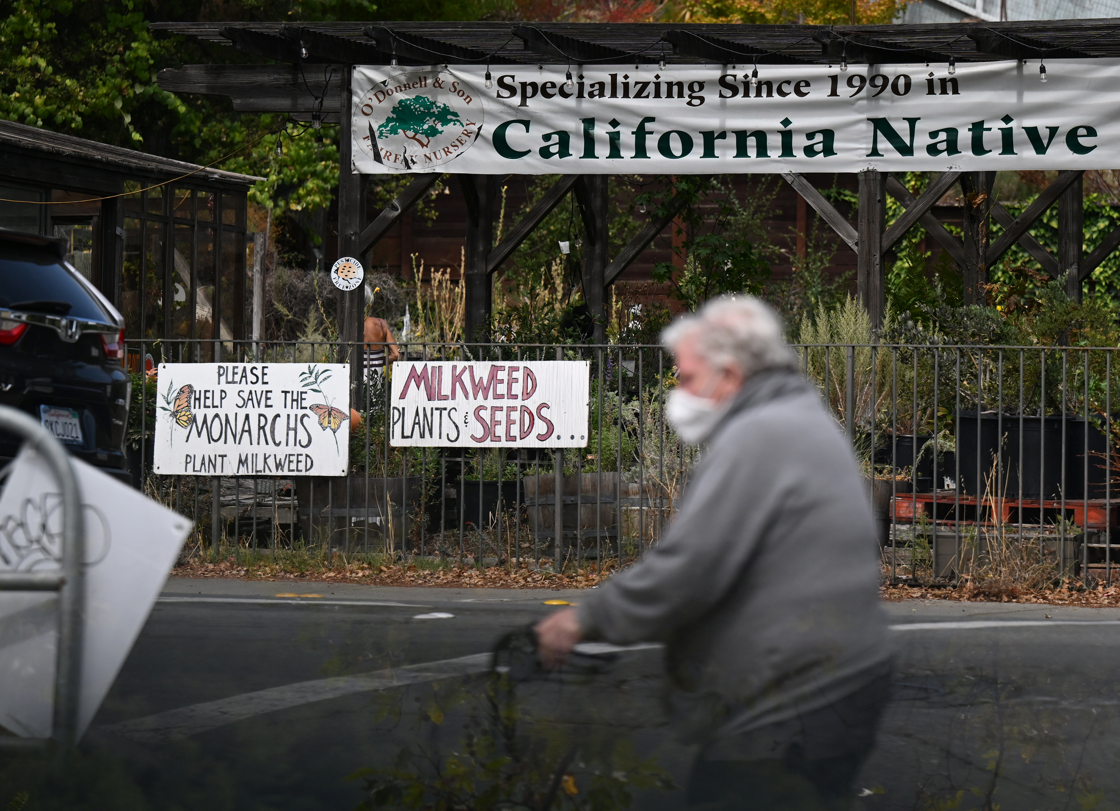 FAIRFAX CA - SEPTEMBER 12: O'Donnell and Son Nursery advertises milkweed plants and seeds to support monarch butterflies in Fairfax, Calif. on Monday, Sept. 12, 2022. (Alan Dep/Marin Independent Journal)