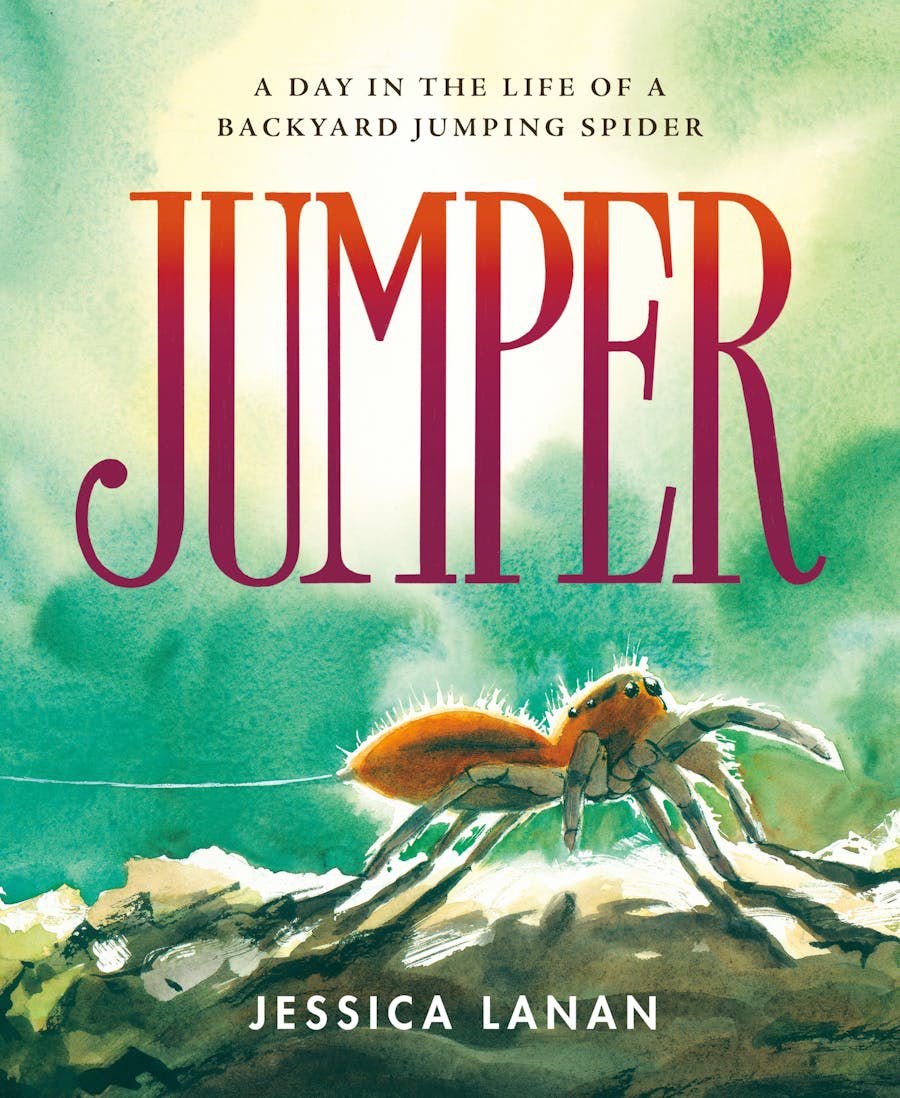 "Jumper: A Day in the Life of a Backyard Jumping Spider
