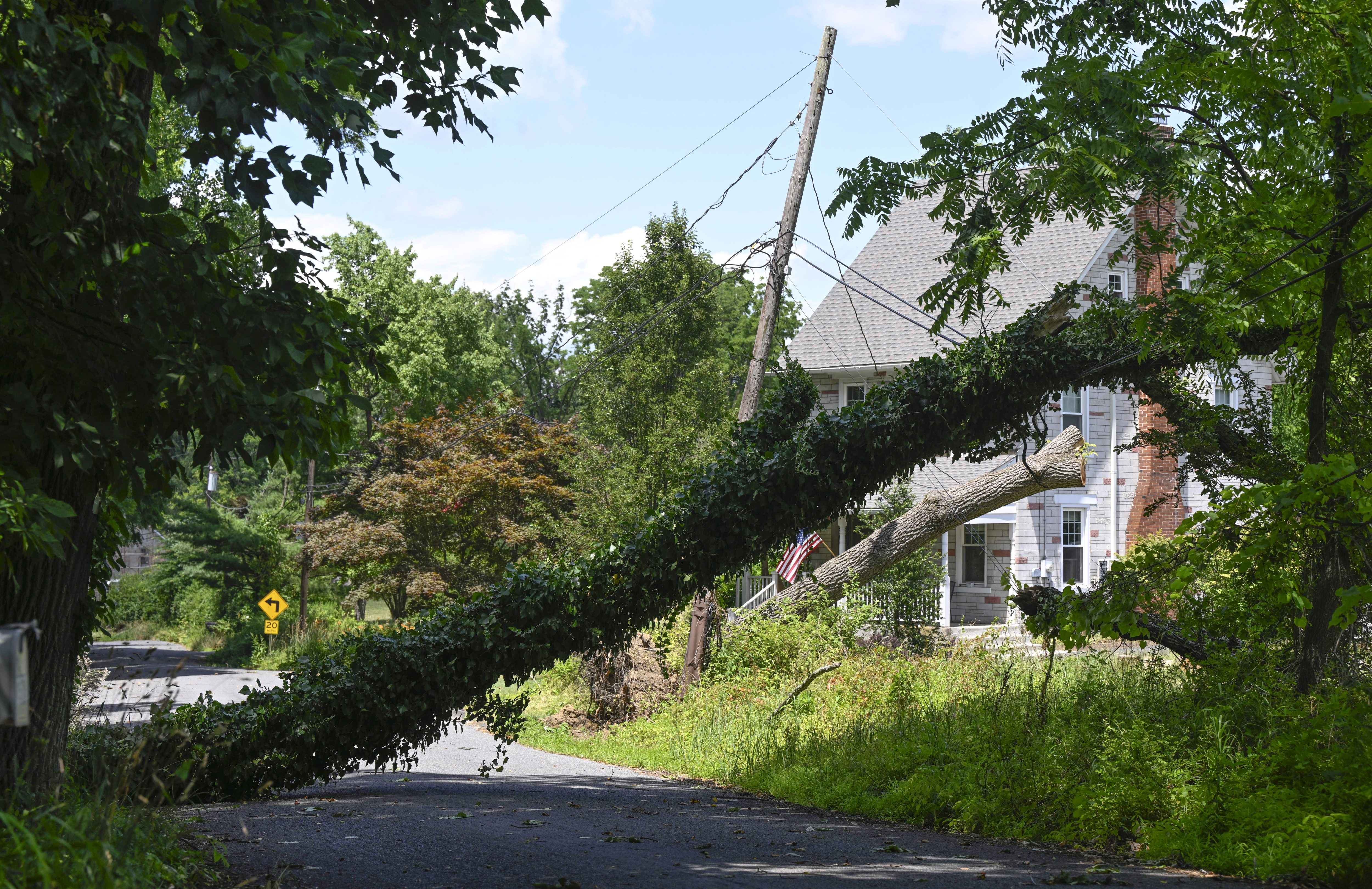A tree weighs down on powerlines and blocks Hafler Road, Thursday, June 27, 2024, in Lower Saucon Township after a severe a thunderstorm with nearly 60 mph wind gusts ripped through the Lehigh Valley the night before. (Monica Cabrera/Special to The Morning Call)