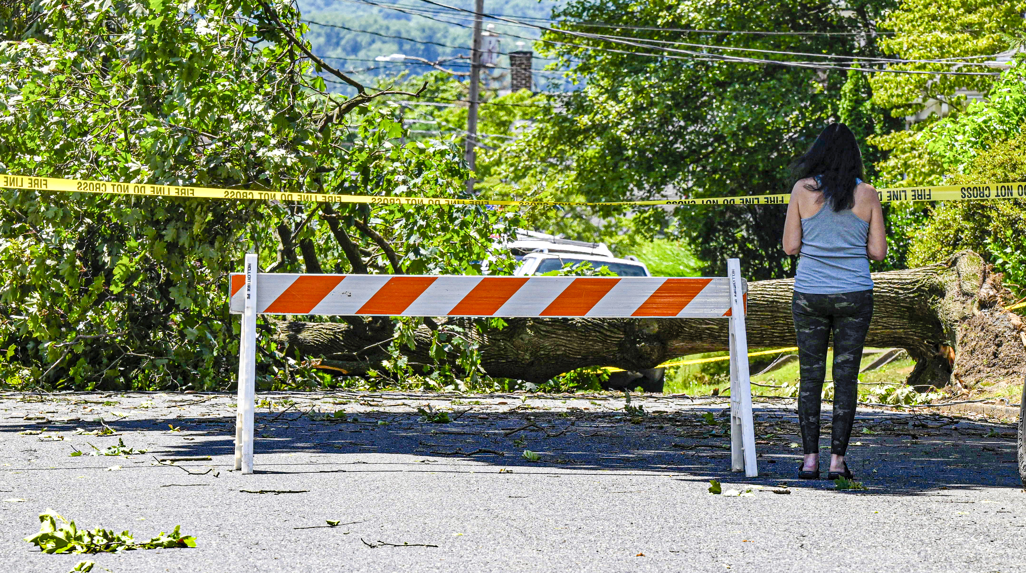 A tree is down and a part of 3rd Avenue is closed Thursday, June 27, 2024, in Hellertown after a severe thunderstorm with nearly 60 mph wind gusts ripped through the Lehigh Valley the night before. (Monica Cabrera/The Morning Call)