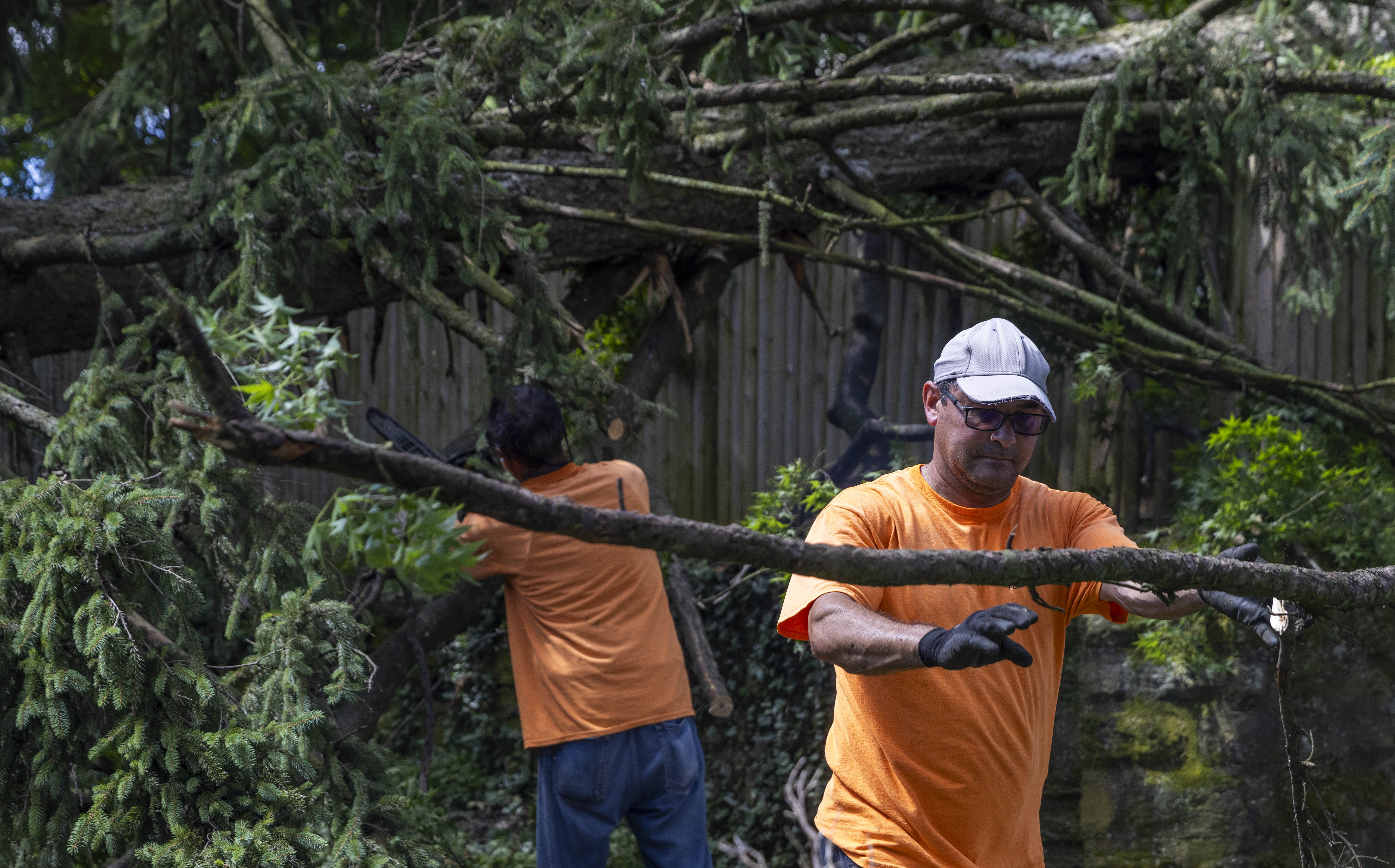 Alfredo Burgos, an employee at Muhlenberg College's Plant Operations, moves tree branches Thursday, June 27, 2024, in Allentown after a severe thunderstorm with nearly 60 mph wind gusts ripped through the Lehigh Valley the night before. (Emma Reed/The Morning Call)