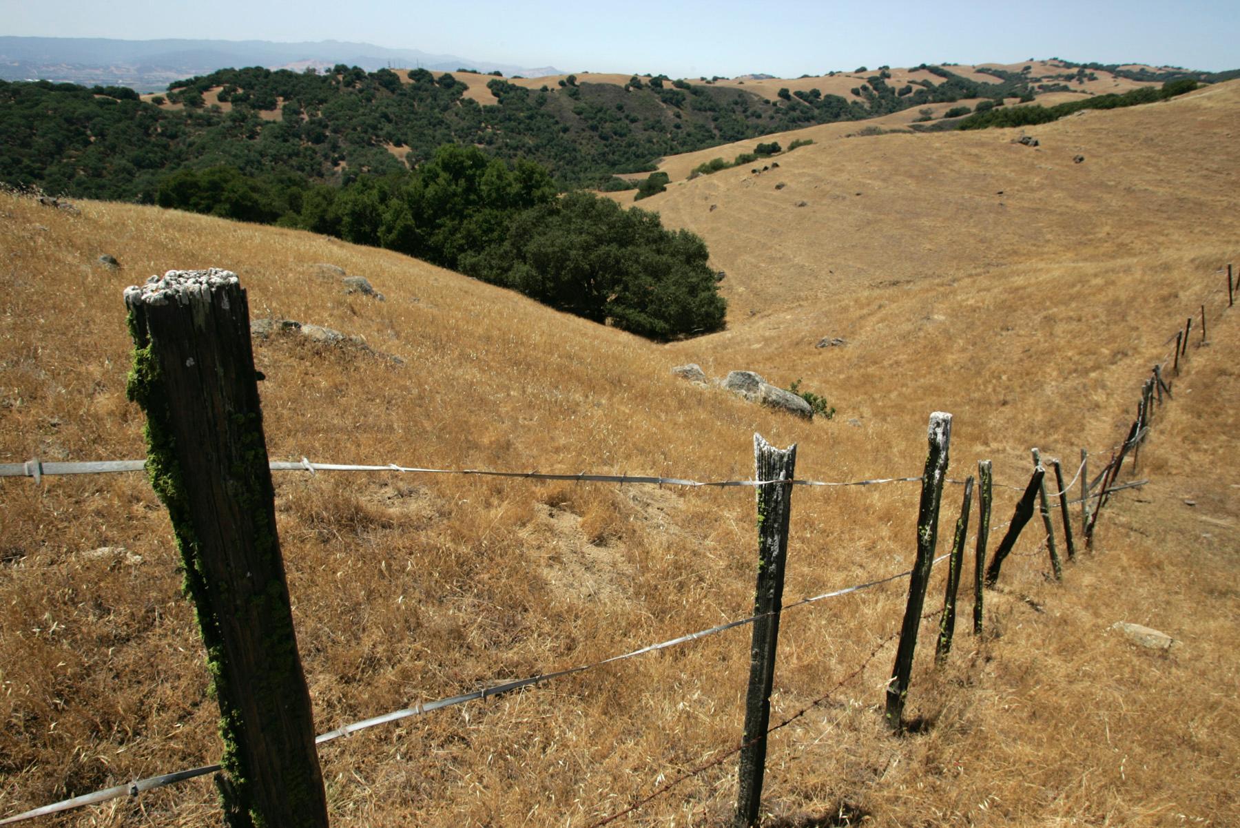 Henry W. Coe State Park, named for a former rancher who owned part of the property in the early 1900s, totals more than 87,000 acres in the hills east of Morgan Hill. The park is shown here on June 14, 2007.