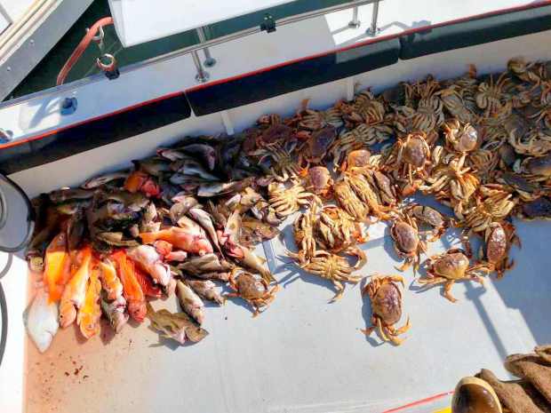 Excitement Builds As Bay Area Anglers Prep For Sport Commercial Crab Seasons