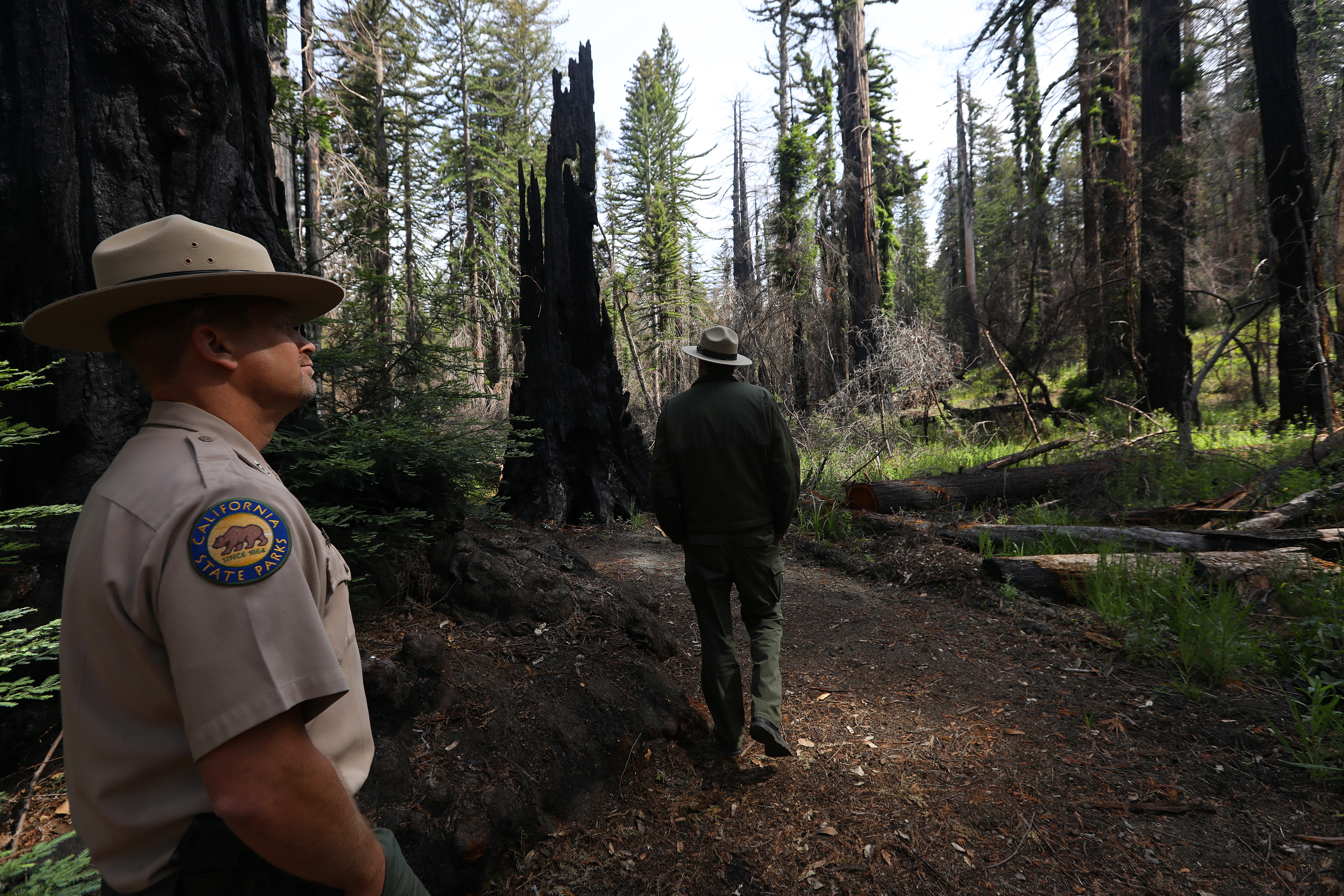 State Parks officials lead a media tour of Big Basin Redwoods State Park on Thursday, May 26, 2022, near Boulder Creek, Calif. The park has been closed since the CZU Complex Fire in August of 2020. State Parks officials are planning for limited day use this summer. (Aric Crabb/Bay Area News Group)
