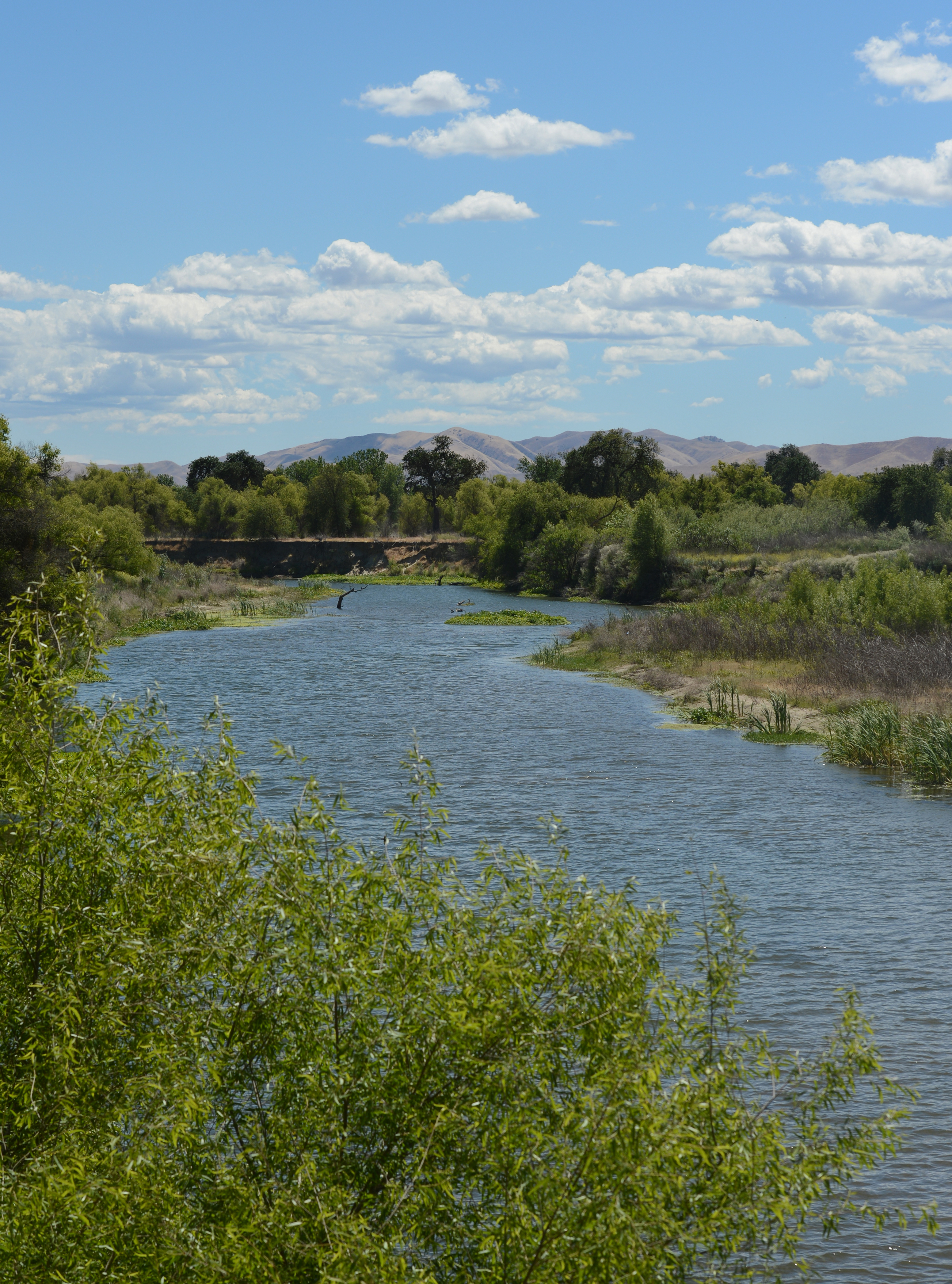 The San Joaquin river flows past Dos Rios Ranch