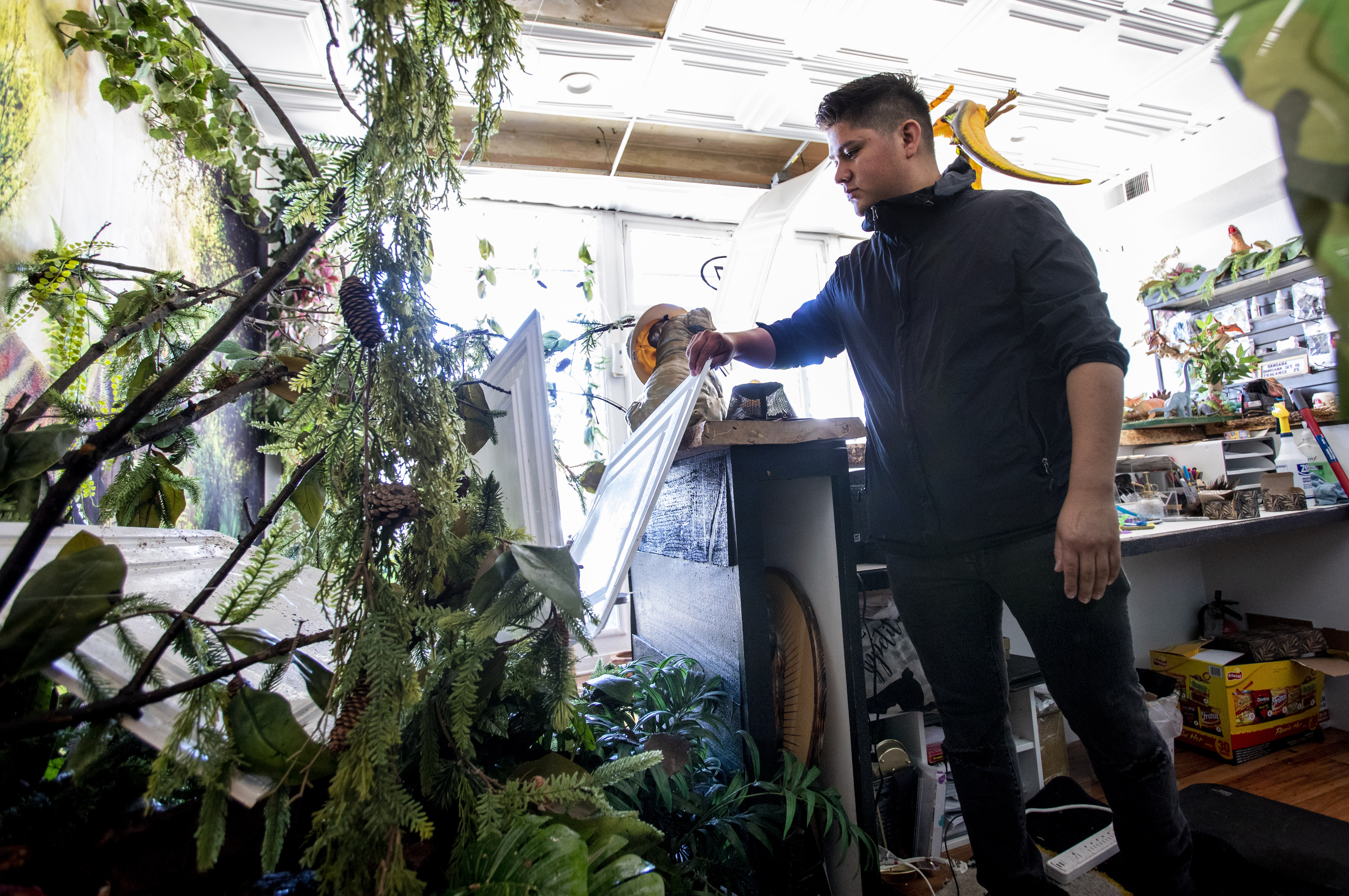 San Jose Dog Salon Owner Staff Flee Building Blaze With Dogs