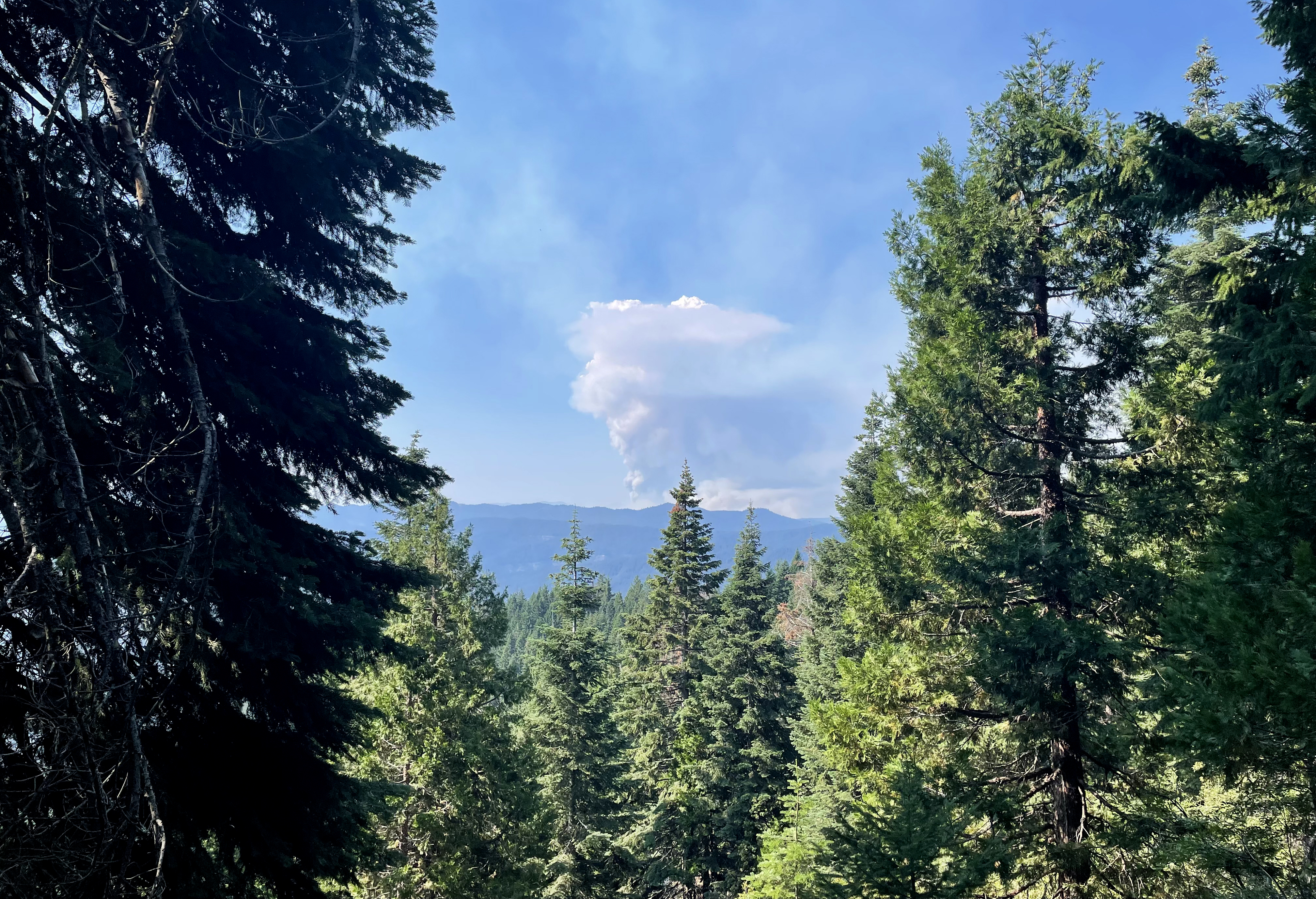 A photo of the McKinney Fire taken by Andrew Schrock as he another backpackers safely exited the Pacific Crest Trail. The McKinney Fire, which has since grown to more than 60,000 acres, killed four people and required the rescue of 60 hikers. (Photo by Andrew Schrock)