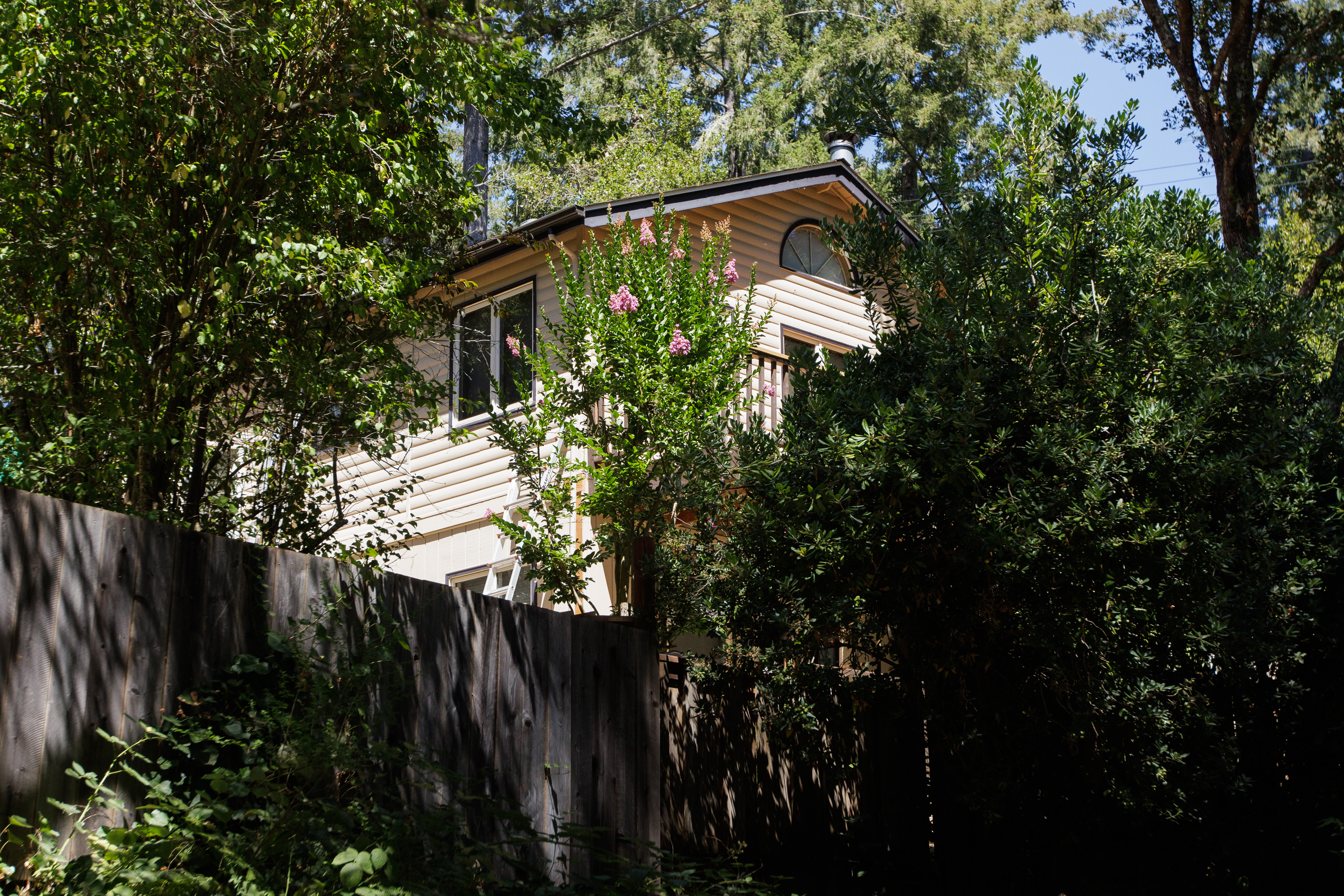 Judy Osborn's house is seen through trees and bushes on Aug. 24, 2022, in Felton, Calif