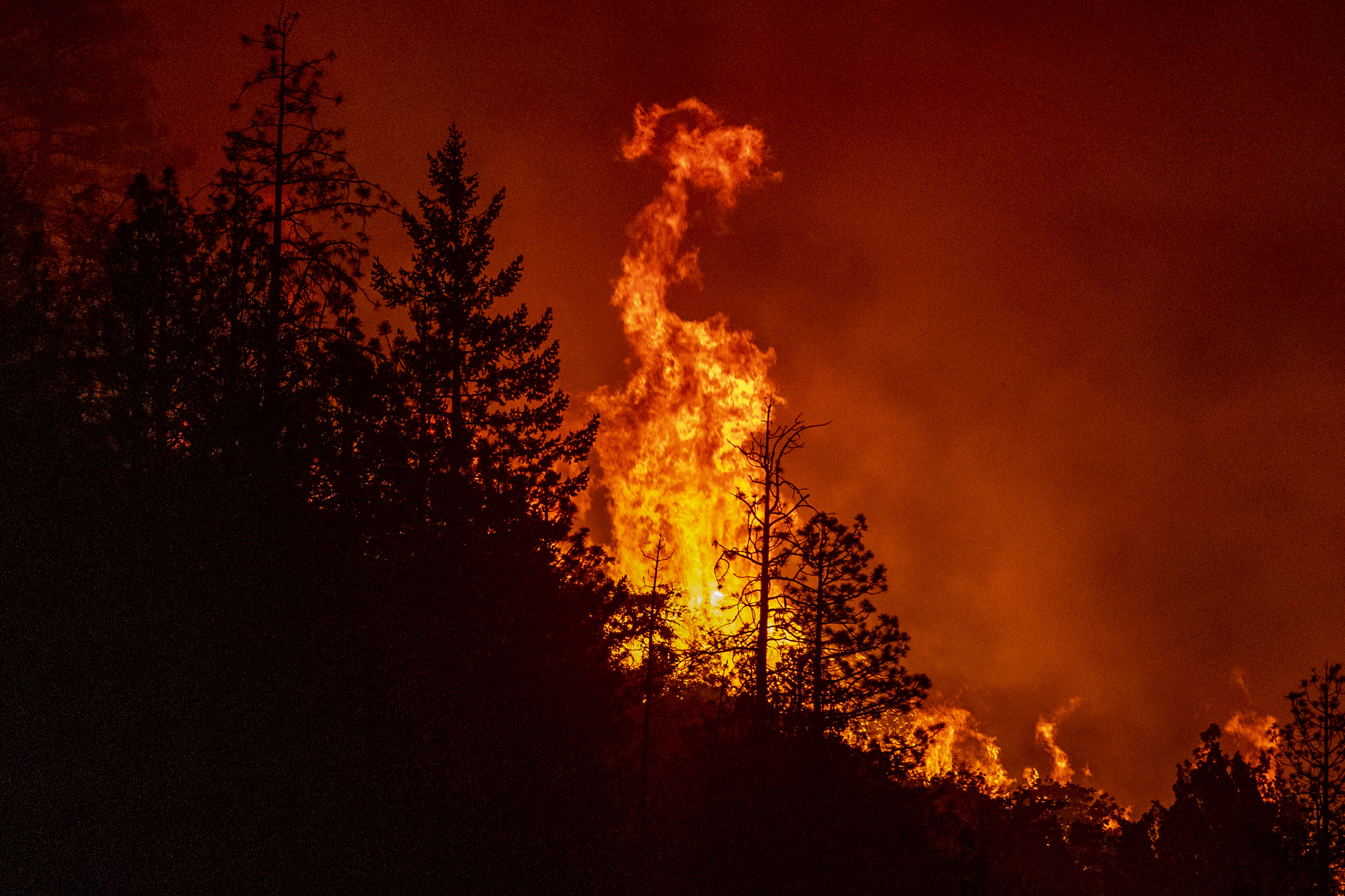 WEED, CALIFORNIA - SEPTEMBER 2: The Mountain Fire burns late Friday evening, Sep. 2, 2022, in the forest west of Weed, Calif., where another fire, the Mill Fire, had torn through town earlier destroying dozens of homes. (Karl Mondon/Bay Area News Group)