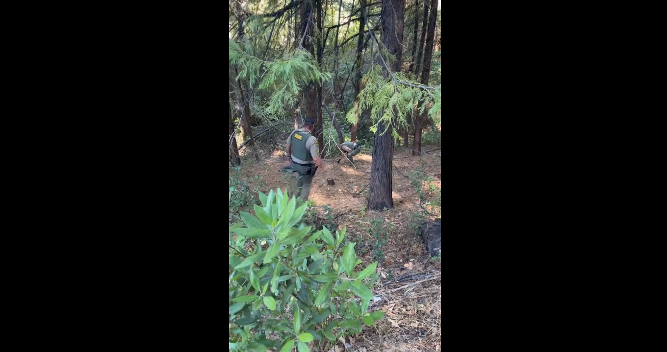 Video screenshot of authorities on Old Defender Grade Road close to where human bones were found by search parties looking for Alexis Gabe's body. (Facebook/Kelly Teal)