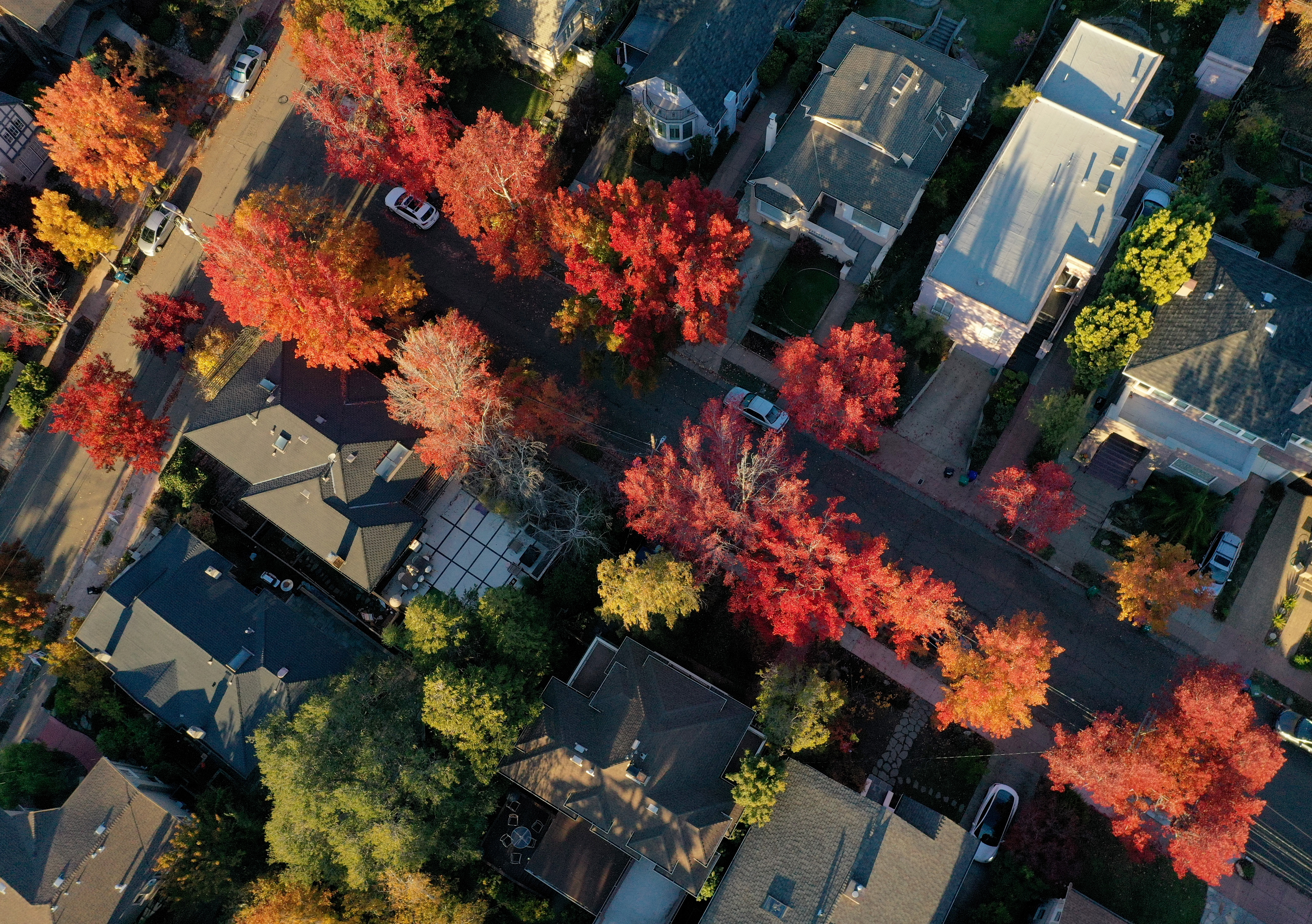 Fall colors are seen from this aerial view in Piedmont, Calif., on Tuesday, Nov. 15, 2022. (Jane Tyska/Bay Area News Group)