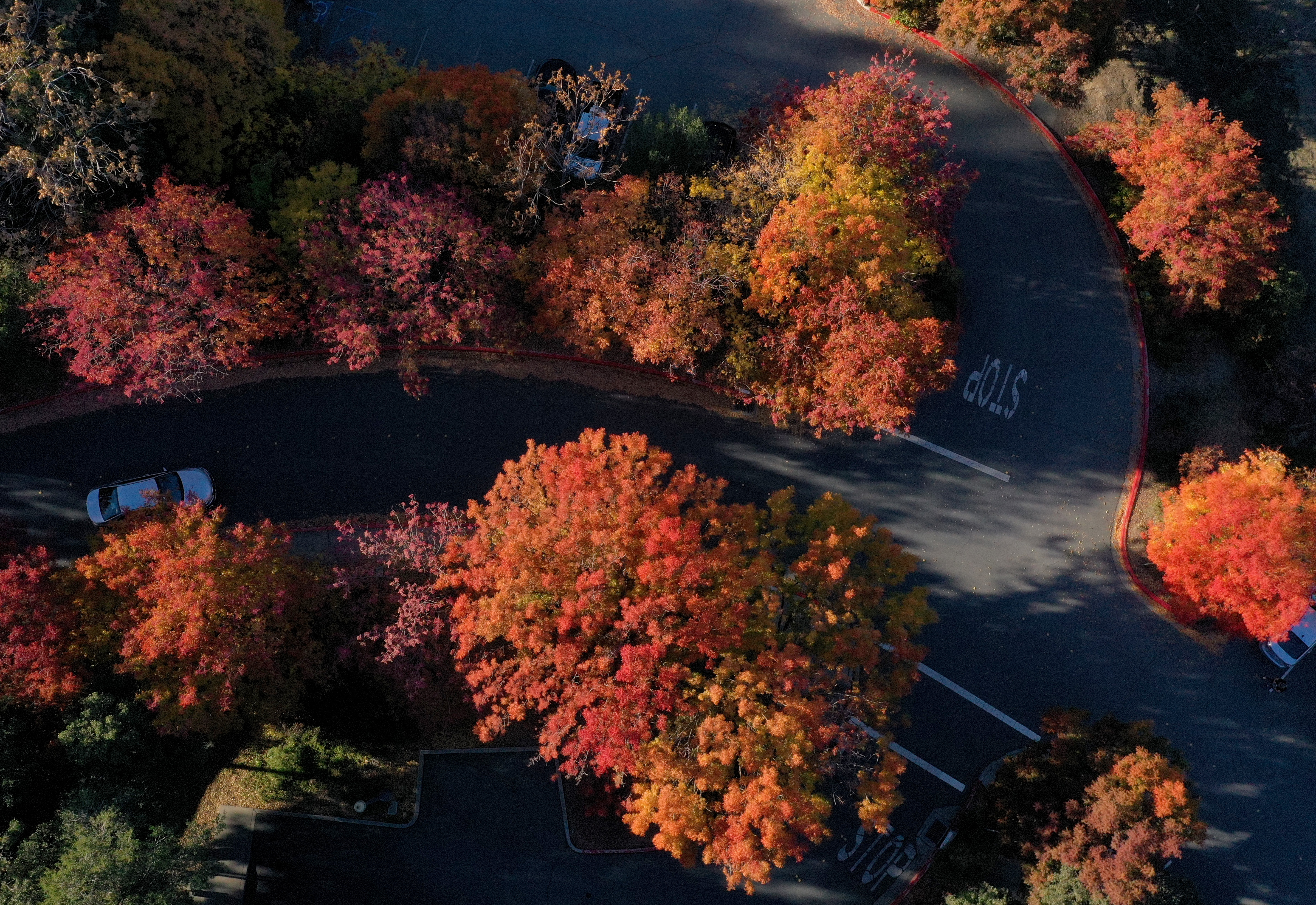 Fall colors are seen from this aerial view in Clayton, Calif., on Wednesday, Nov. 16, 2022. (Jane Tyska/Bay Area News Group)