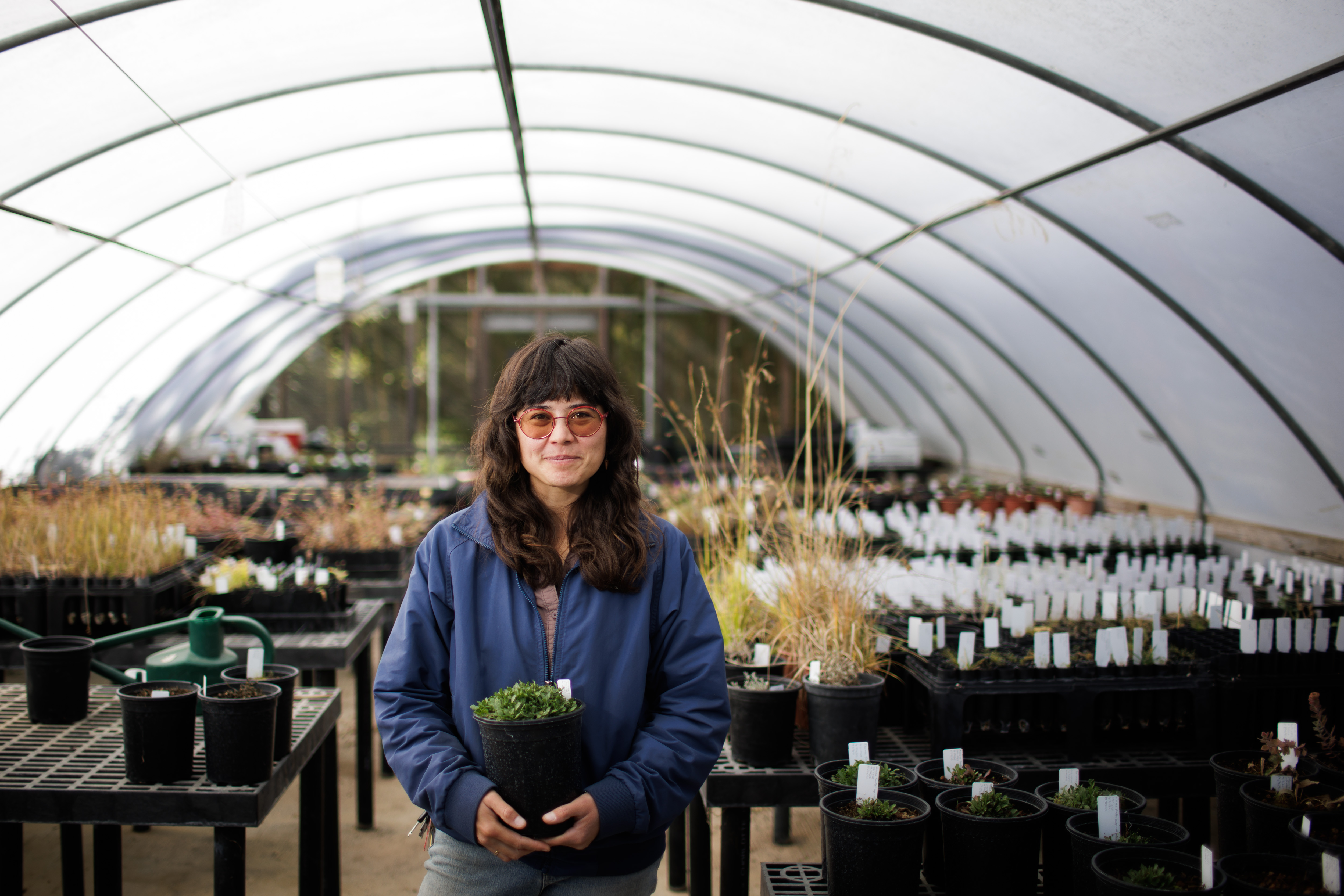 Lucy Ferneyhough, native plant program project manager at the UC Santa Cruz Arboretum, is an expert in preserving and propagating rare plants for future research, restoration and recovery. (Dai Sugano/Bay Area News Group)
