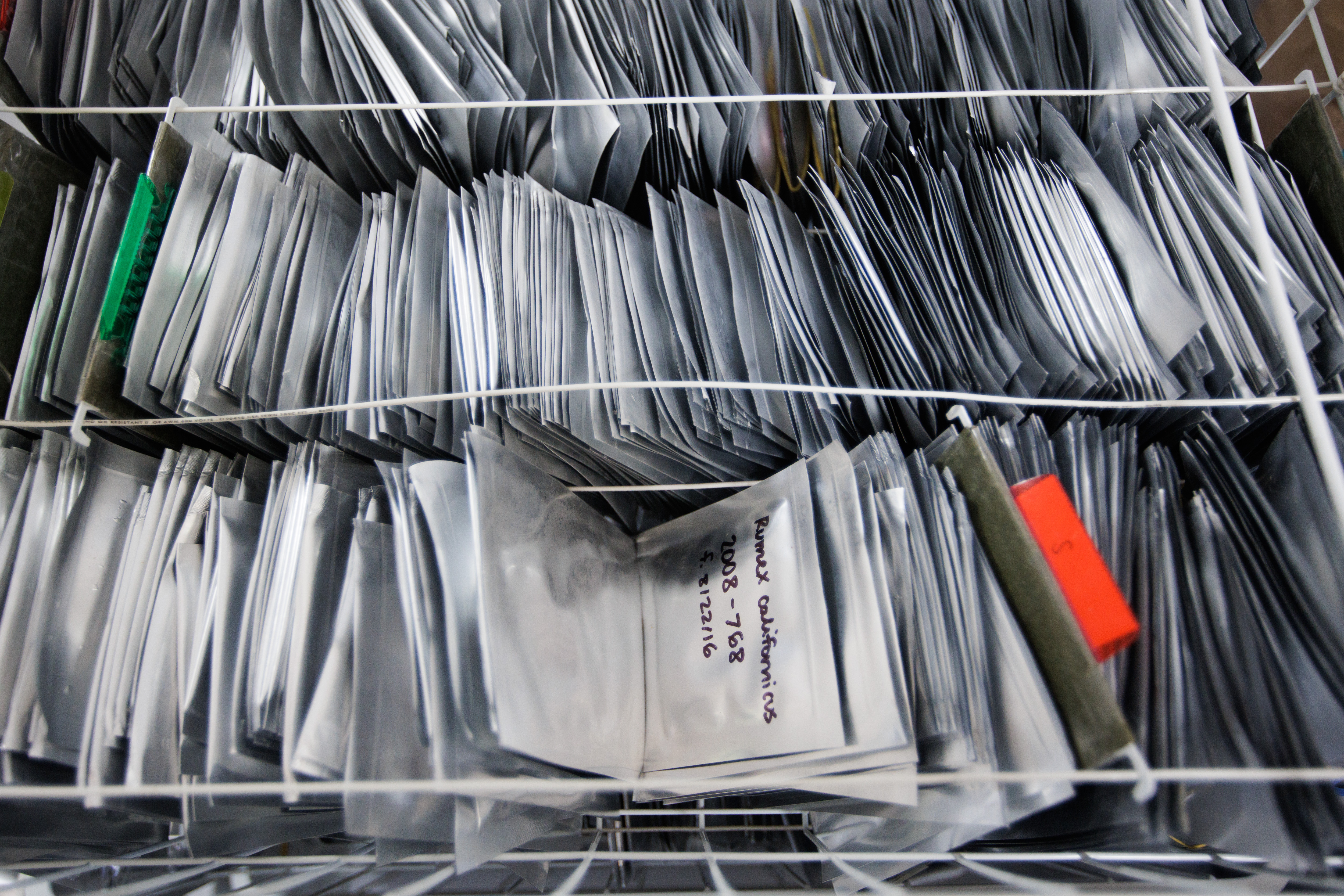 Rare plants' seeds are stored at negative 10 degrees in a freezer at the UC Santa Cruz Arboretum on Nov. 7, 2022. (Dai Sugano/Bay Area News Group)