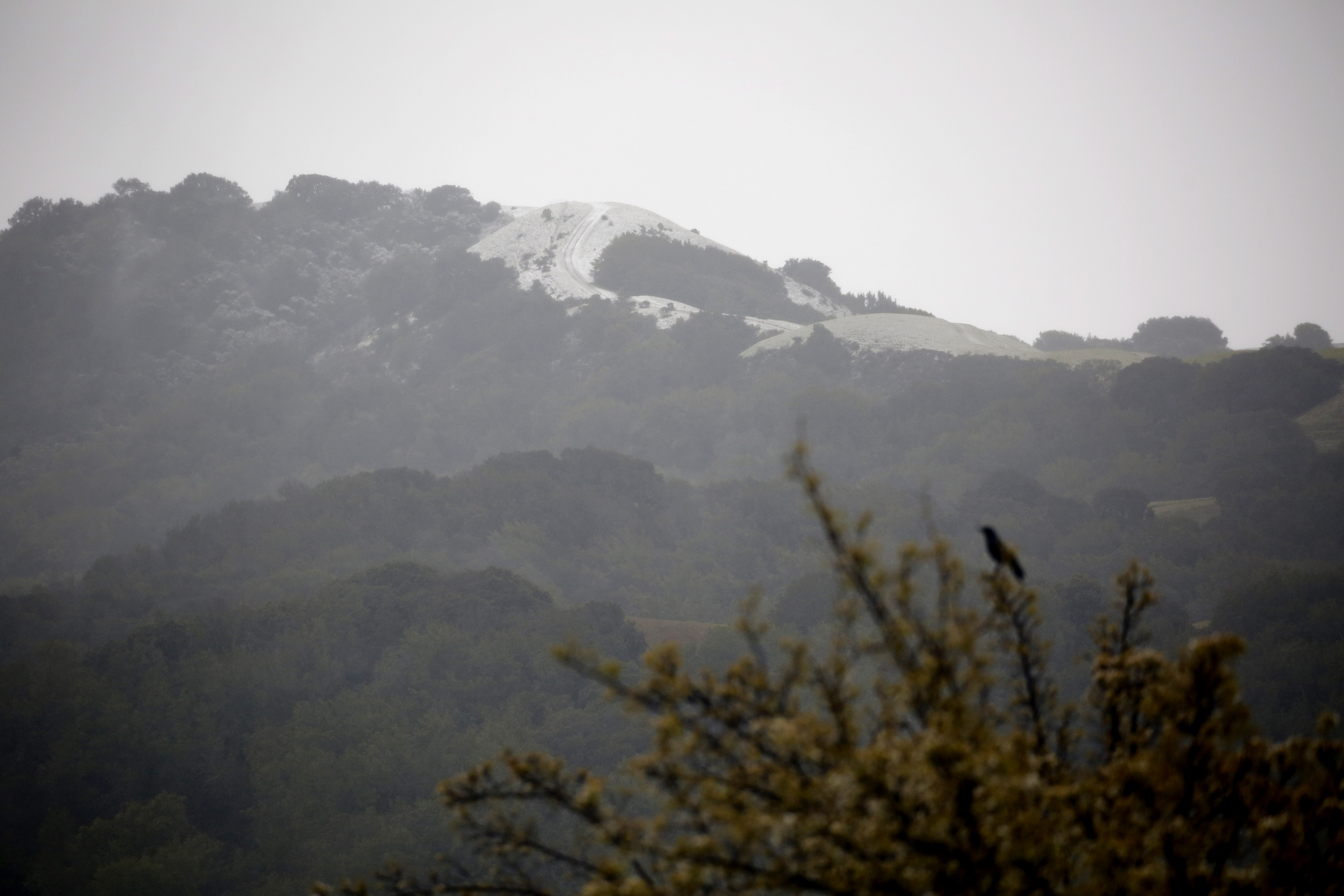 Snow could be seen on the highest peaks of the Pleasanton Ridge National Park just east of Dublin after a winter storm came through the Bay Area on Friday, February 24, 2023. (Sarah Dussault/Bay Area News Group)