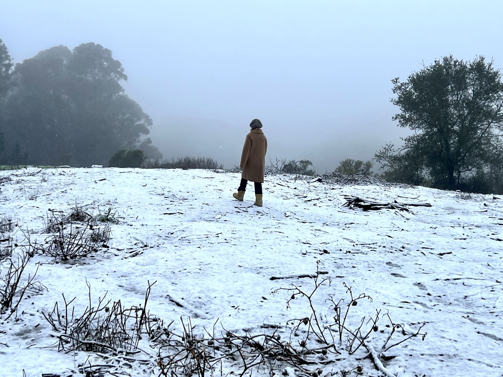 Traffic moves along Grizzly Peak as snows falls in the Oakland hills, Calif., early Friday, Feb. 24, 2023. (Ray Chavez/Bay Area News Group)